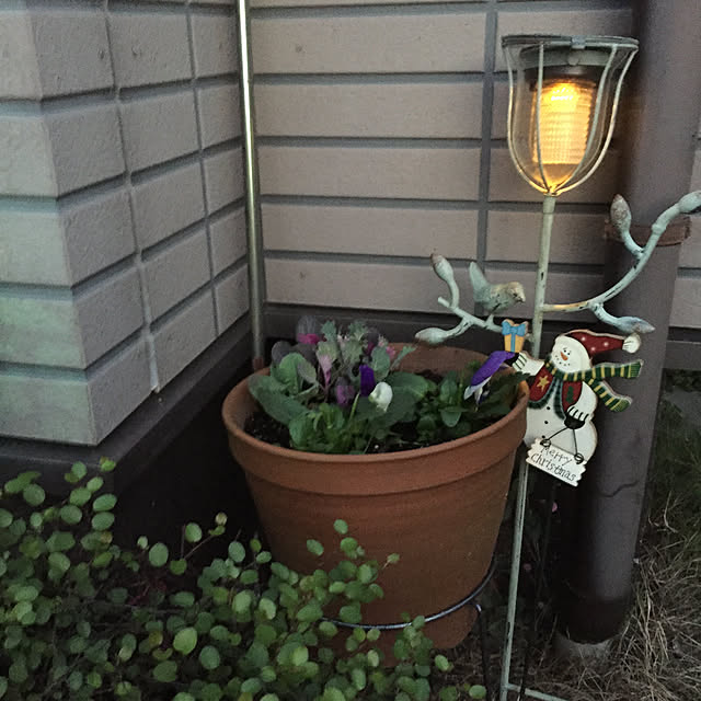 miro_414さんの実例写真