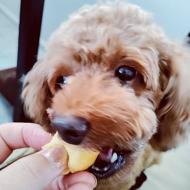 MOMOMAMAさんの実例写真