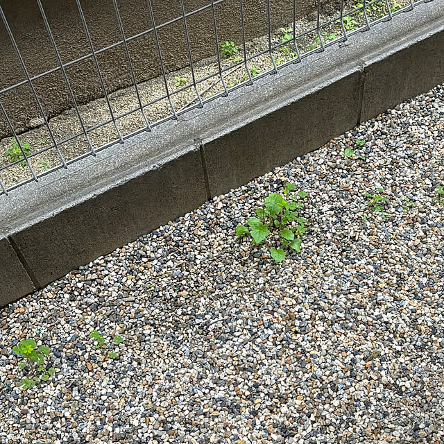 junaさんの実例写真