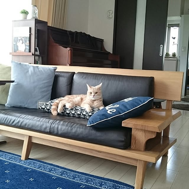 yukiさんの実例写真