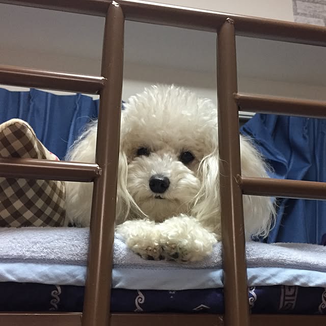 sei.hugさんの実例写真
