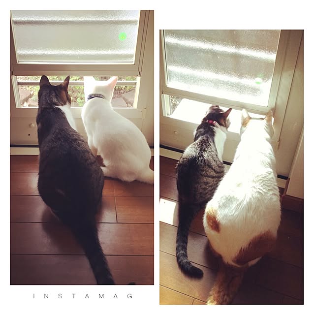 Rettiさんの実例写真