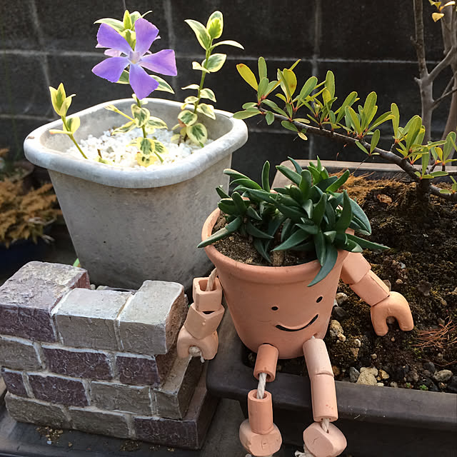 実例写真