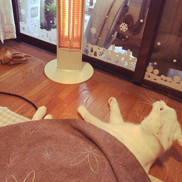 inoさんの実例写真