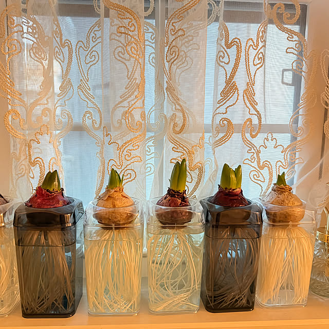 lunahartさんの実例写真