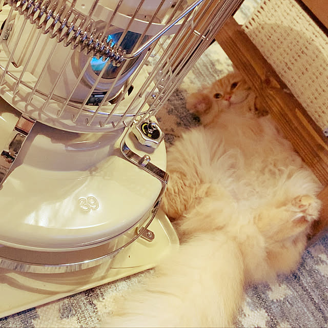 maruさんの実例写真