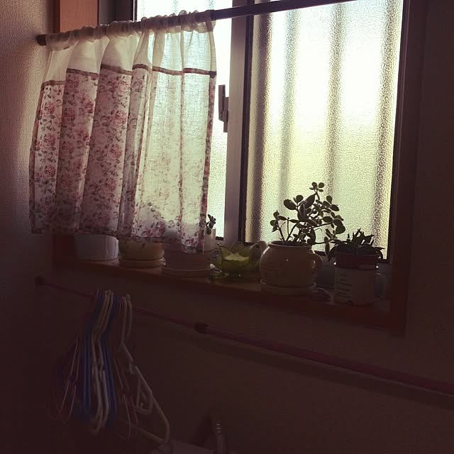 h-a-ri.mamaさんの実例写真