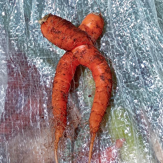 mocomocoさんの実例写真
