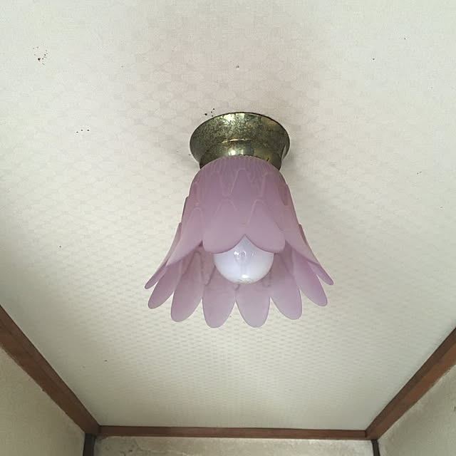 enoさんの実例写真