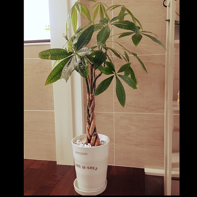 etsurio.ryuさんの実例写真
