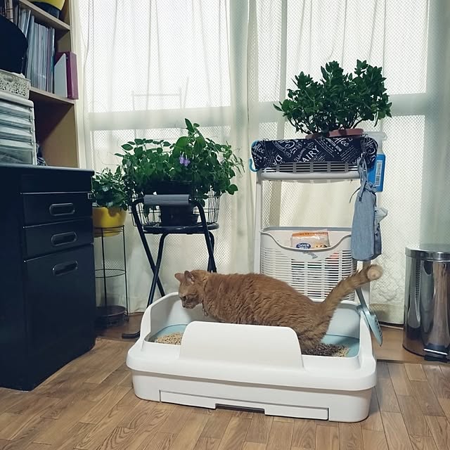 NOAHさんの部屋