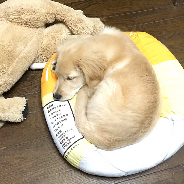suuさんの実例写真