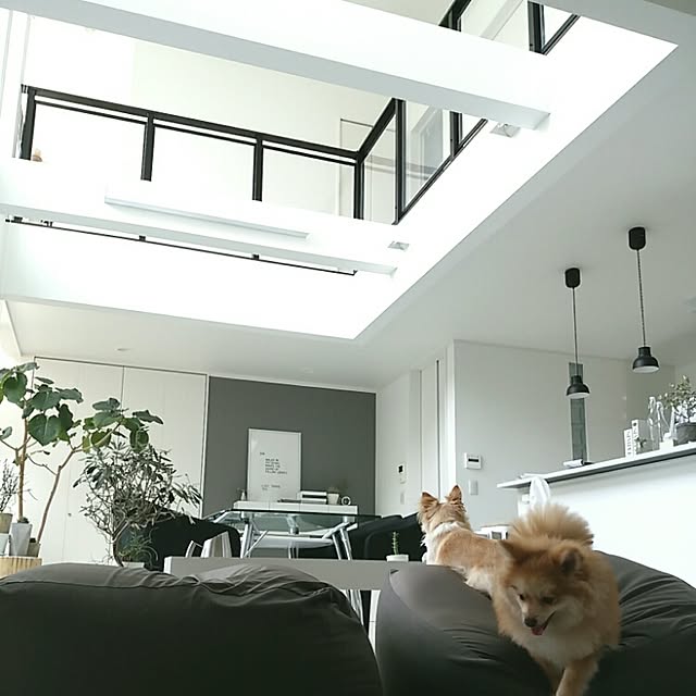 mi-さんの実例写真