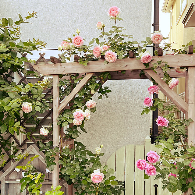 seiseiさんの実例写真