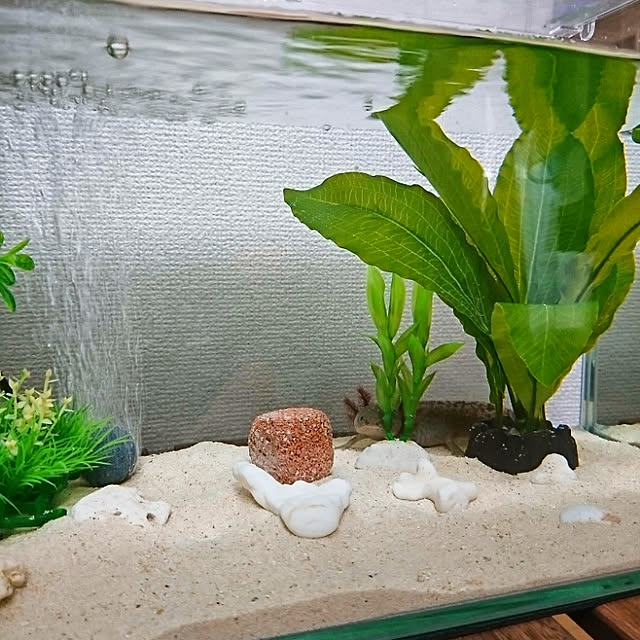 takiさんの実例写真