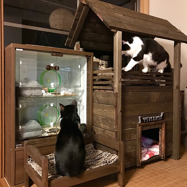 butachanさんの実例写真
