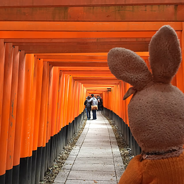 Rabbitさんの実例写真