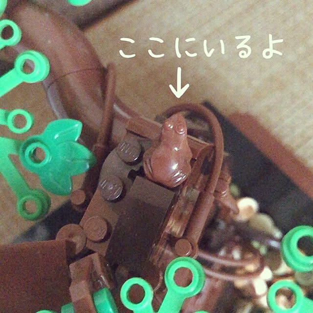 tamaharuさんの実例写真
