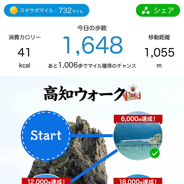 実例写真
