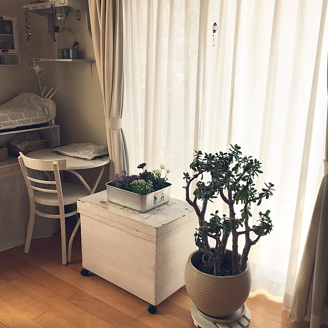 caolinpanさんの実例写真