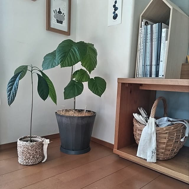 sakiさんの実例写真