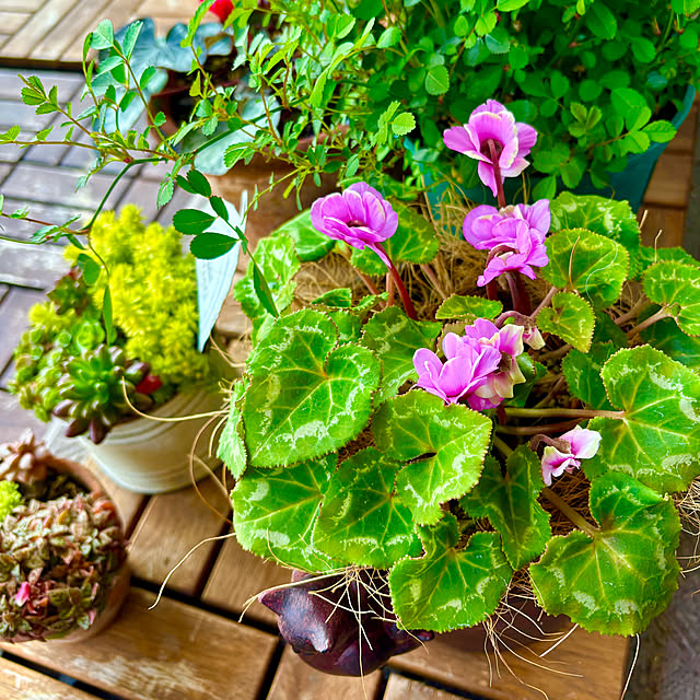 naokoさんの部屋