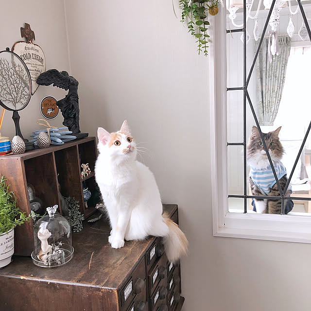 yuchiさんの実例写真
