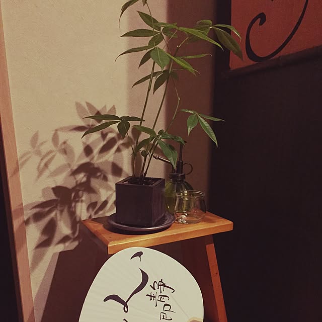 Kanaさんの実例写真