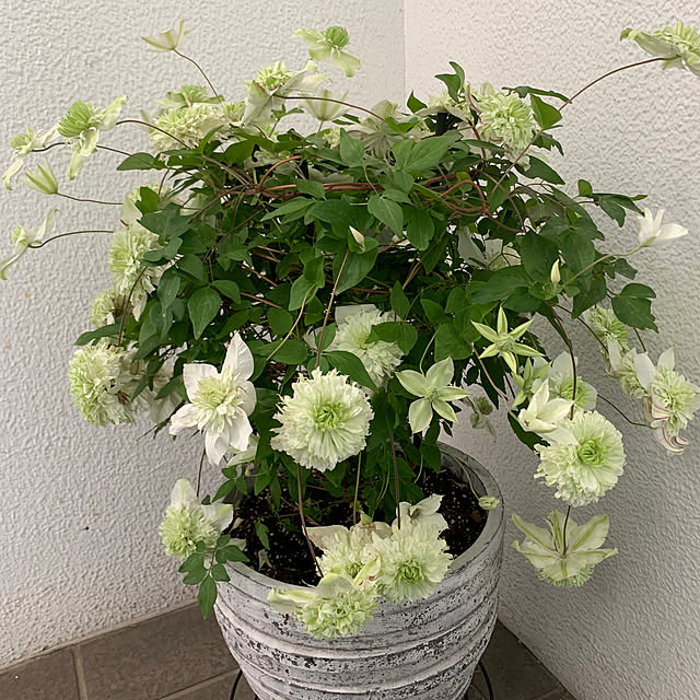Aqettyさんの部屋