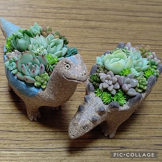 kazu3381さんの実例写真