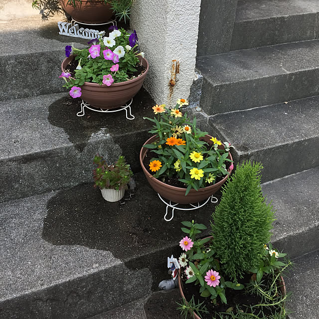 v.4ma-ma.0519さんの実例写真