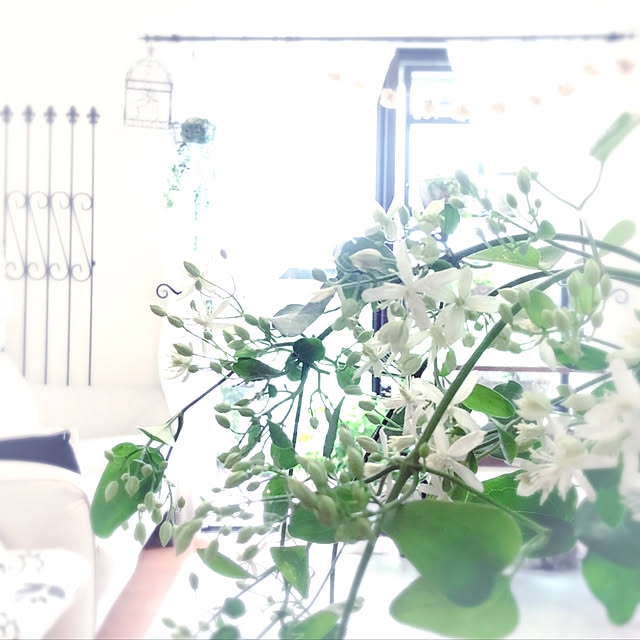 soraさんの実例写真