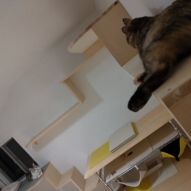 部屋全体のインテリア実例 - 2020-03-02 02:07:02