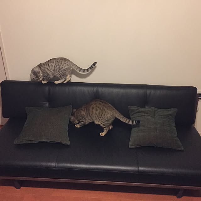 Akitoさんの実例写真