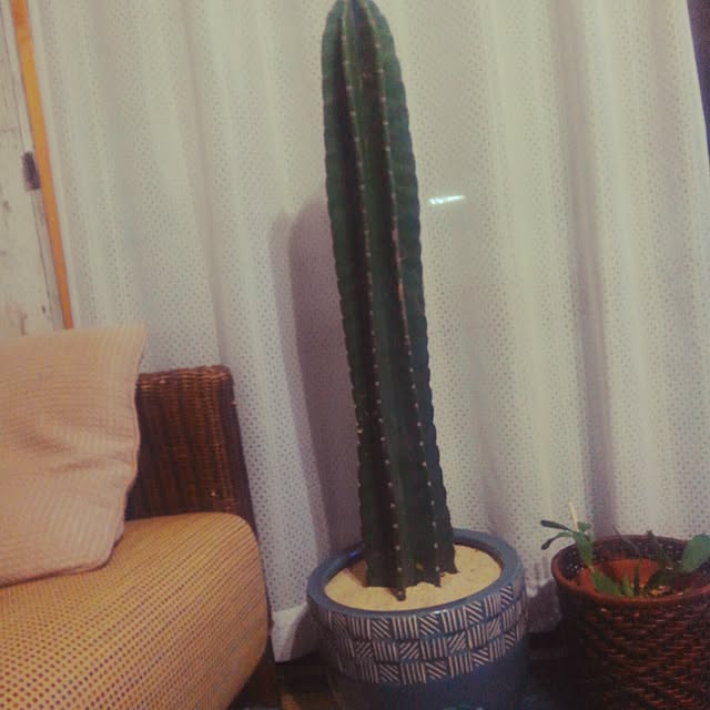 K.Kさんの実例写真