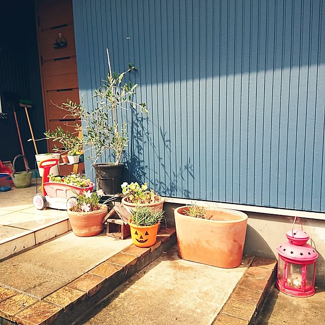 urchinさんの部屋