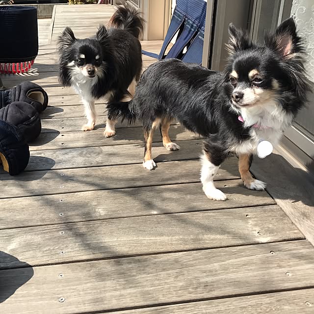 maxsさんの実例写真