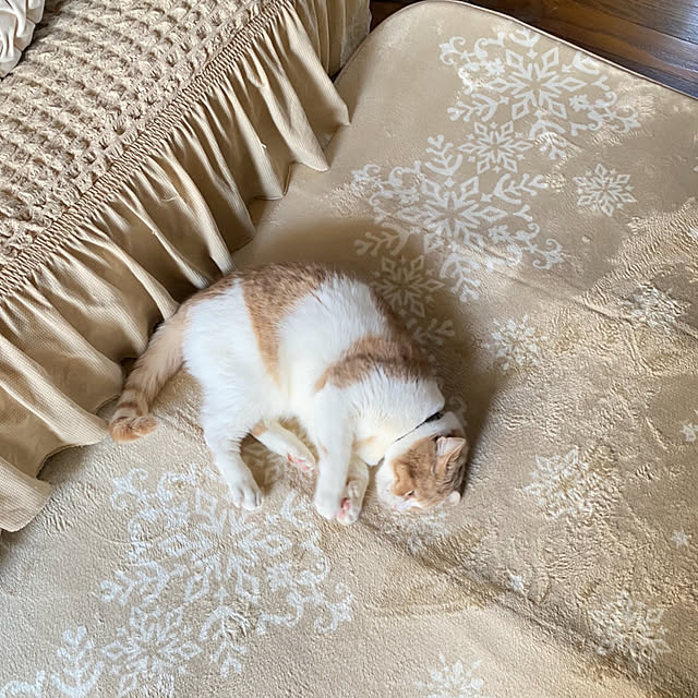 mintteaさんの部屋