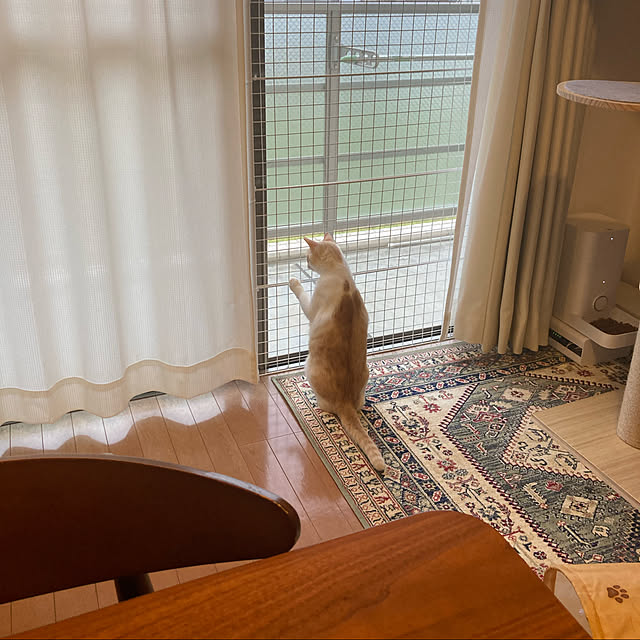 Maron0430さんの実例写真