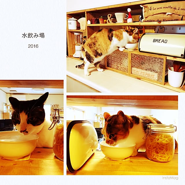 su-chanさんの実例写真