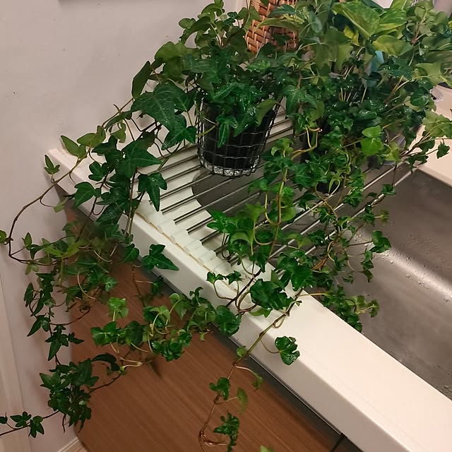 Yoko622さんの部屋