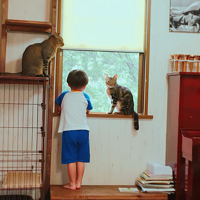 pepeさんの実例写真