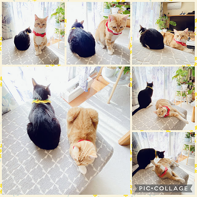 moolさんの実例写真
