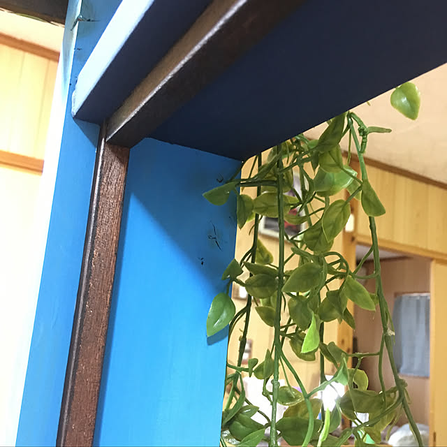 fjkcaseyさんの実例写真