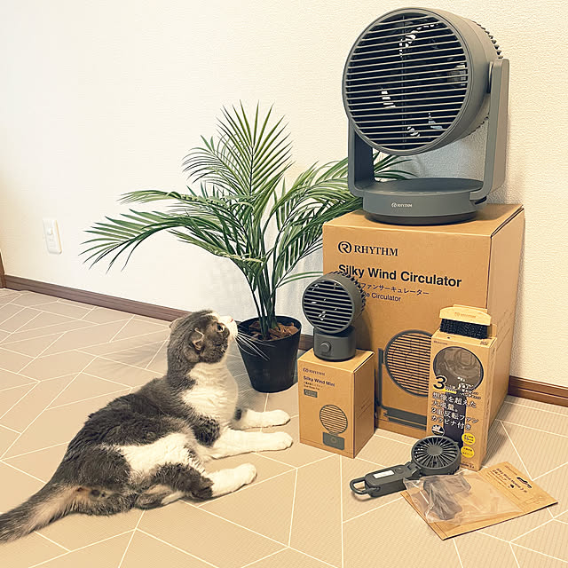 tansukeさんの部屋