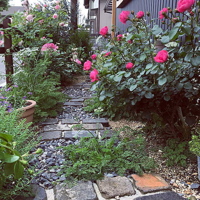 SACHI119さんの実例写真