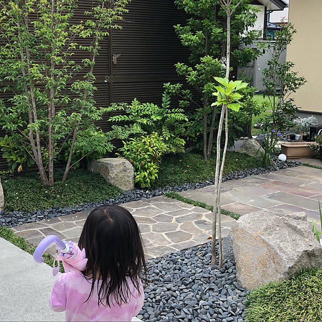 実例写真
