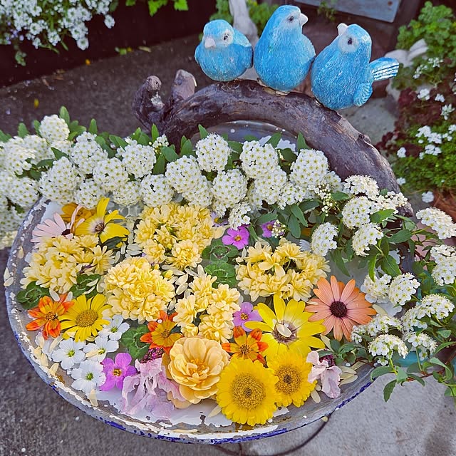 mocomocoさんの部屋