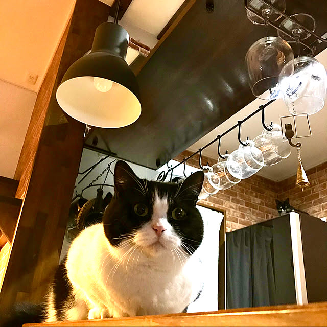 butachanさんの実例写真