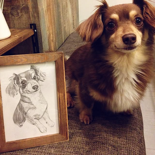 rikakoさんの実例写真